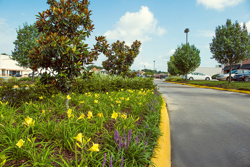 Landry's Landscape Portfolio